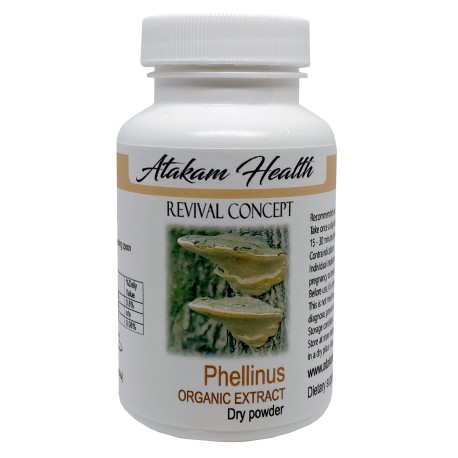 Phellinus extract